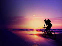 FinalShell 专业版激活教程